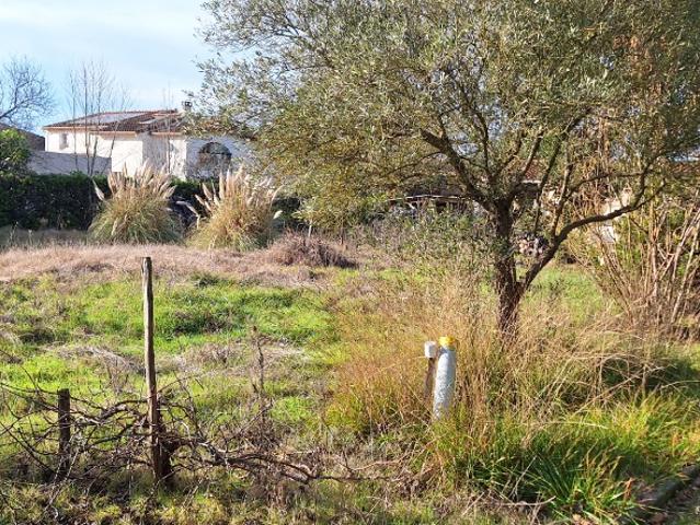Pibrac Vente Terrain 31