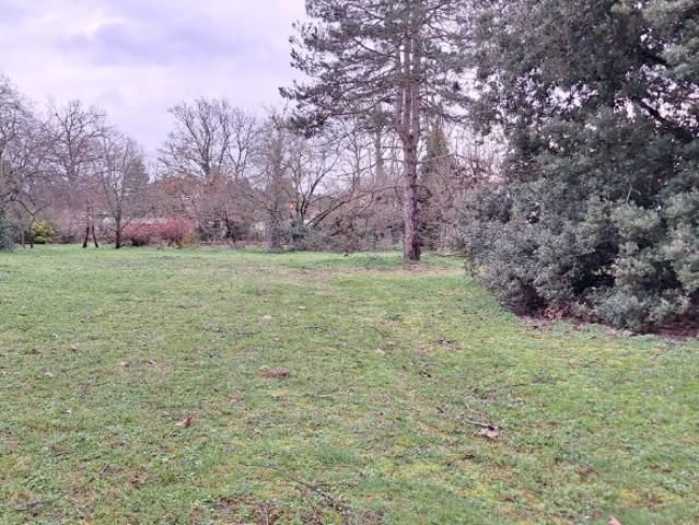 Pibrac Vente Terrain 31