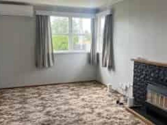 Picture Perfect On Puriri