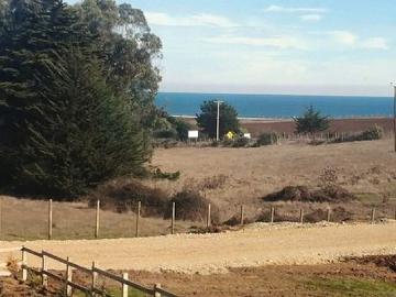 Pichilemu, Sector punta de lobos