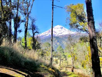 Pico de Orizaba, Terreno de 22,000m2 en las faldas del volc?n m?s alto de M?xico