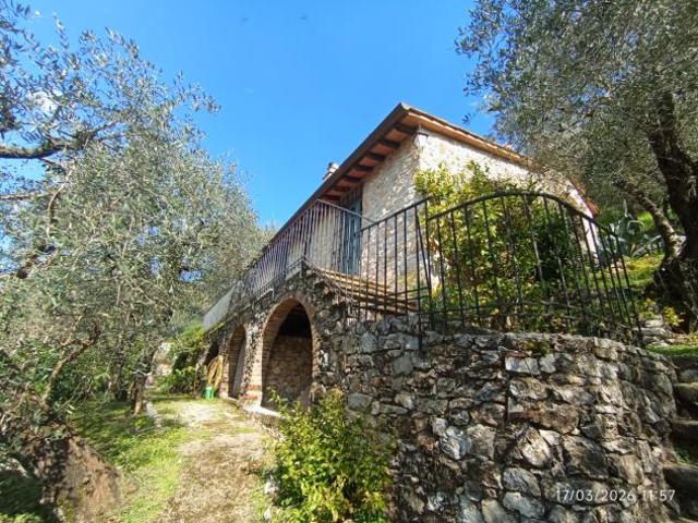 Pieve di Camaiore, rustico singolo, in pietra, leggera vista mare. Predisposizione per piccola piscina