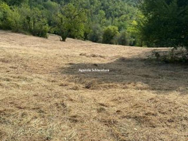 PIEVE DI CAGNA VENDESI TERRENO AGRICOLO DI 6.000 MQ. CIRCA LOCATO A € 7.000 ANNUI