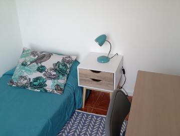 Pieza Cerca Campus Juan Gómez Millas