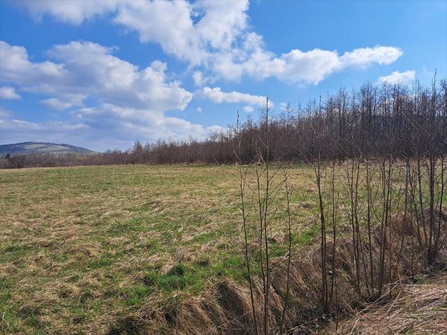 Pielgrzymka, 17 019 m2