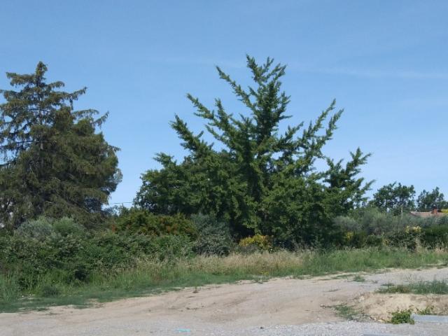 Pierrevert Vente Terrain 04