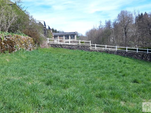 Pierrefort Vente Terrain 15