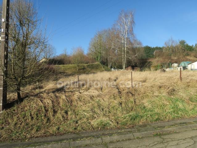 Pierrepont Vente Terrain 54
