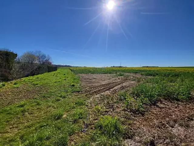 Pierrepont 54620 Achat / Vente terrain