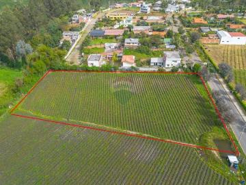 Pifo terreno residencial de venta 4.043 m2 plano