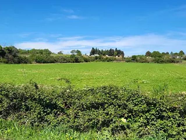 Pignan 34570 Achat / Vente terrain