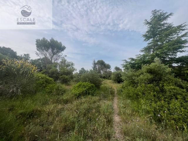 Pignan Vente Terrain 34
