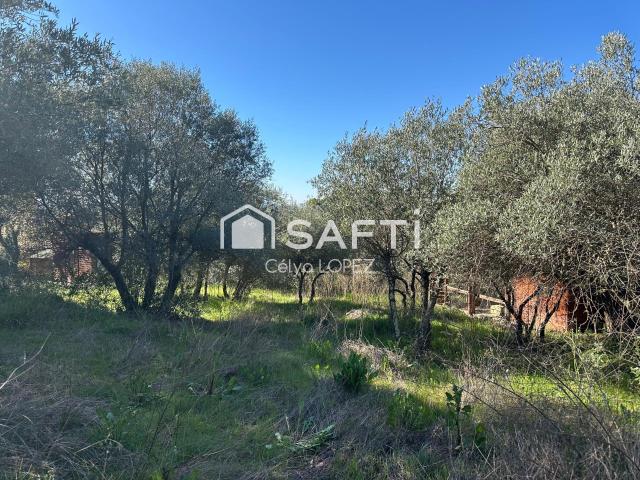Pignan Vente Terrain 34
