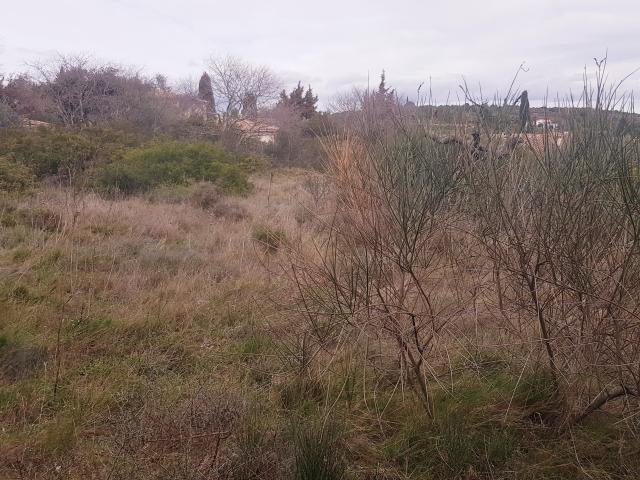 Pignan Vente Terrain 34