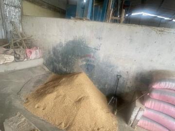 Piladora de Arroz en Producción en Venta en NOBOL