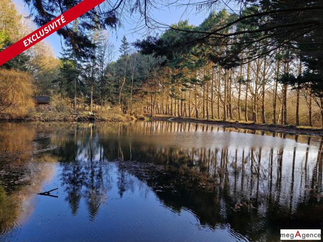 Pipriac Vente Terrain 35