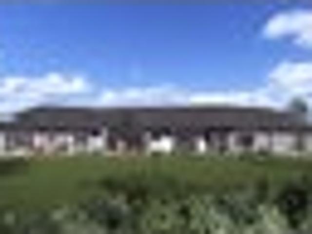 Pirongia Lifestyle Home & Income