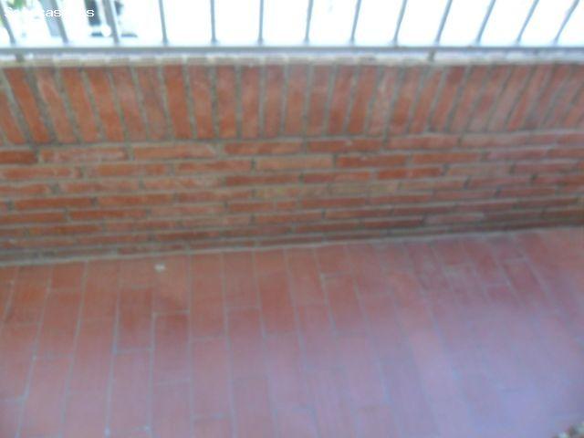 PISAZO CON CALIDADES DE 1º PARA ESTUDIANTES EN PLAZA DE TOROS