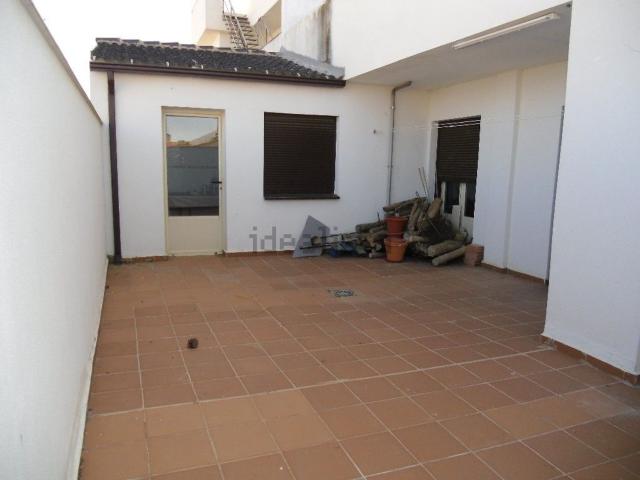 Piso, Madrigueras