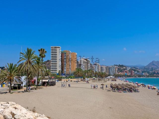 Piso, Malagueta Monte Sancha, Málaga