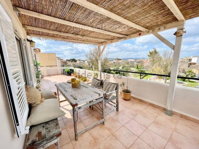 Piso, Manacor