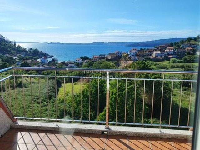 Piso, Marin