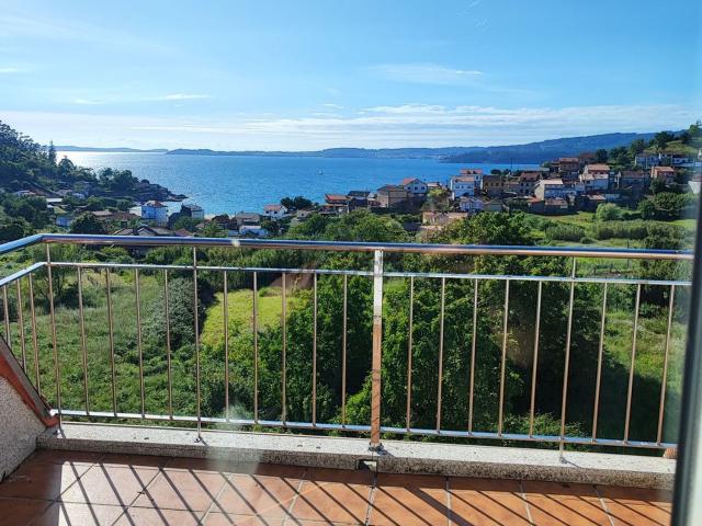 Piso, Marin
