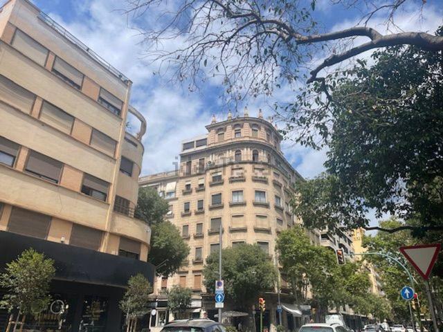 Piso, Marqués de la Fontsanta, Palma de Mallorca