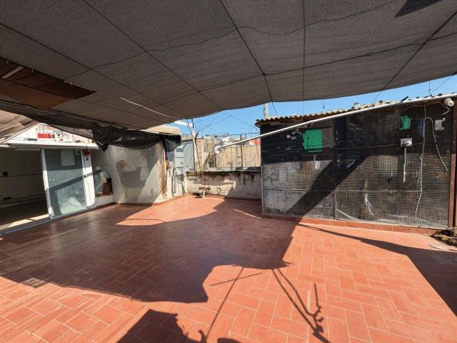 Piso, Mataró