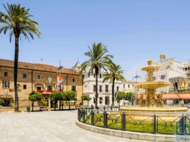 Piso, Mérida