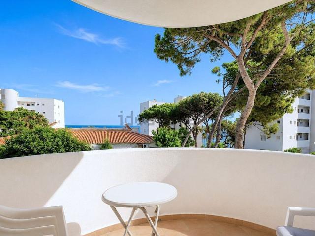Piso, Mijas
