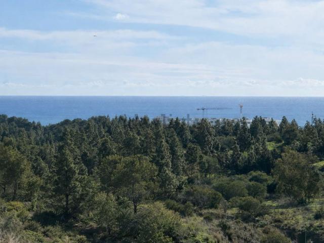 Piso, Mijas