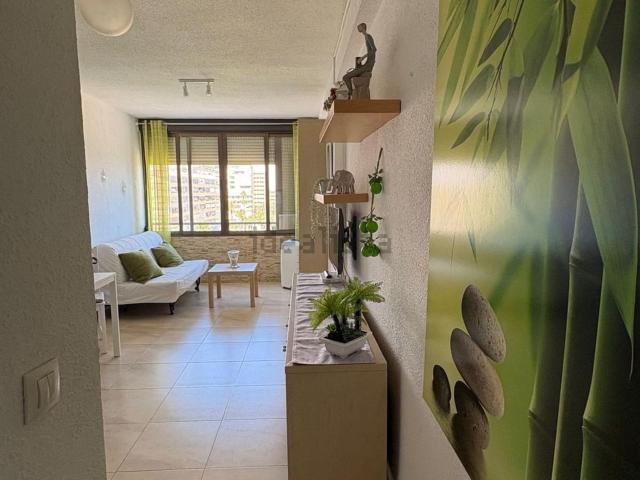 Piso, Miramar Torre del Moro, Torrevieja