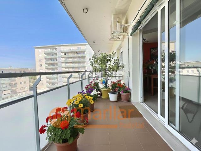 Piso, Molí de Vent La Sauleda Santa Margarida, Palafrugell