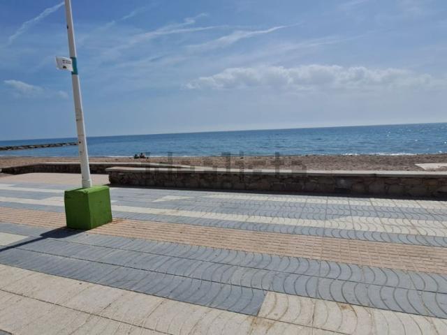 Piso, Moncofa