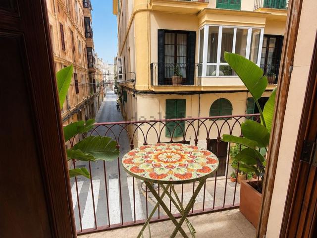 Piso, Monti Sión, Palma de Mallorca