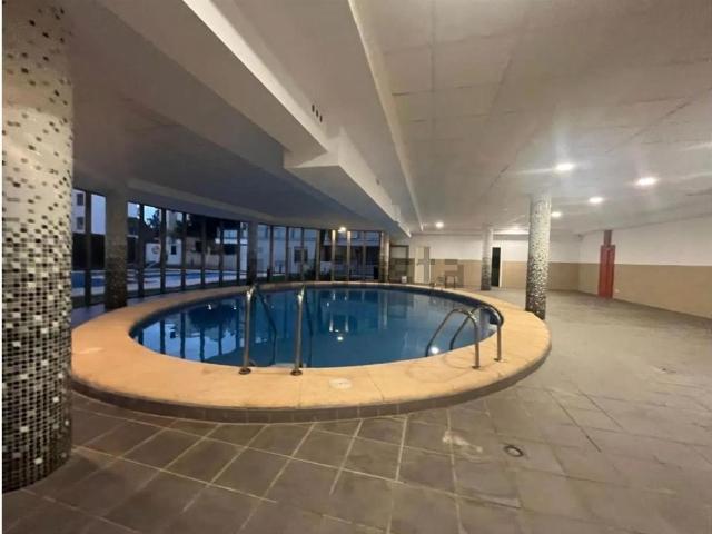 Piso, Oliva