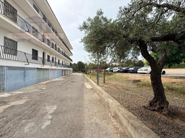 Piso, Olivers Paseo Marítimo, Mont Roig del Camp