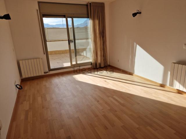 Piso, Olot