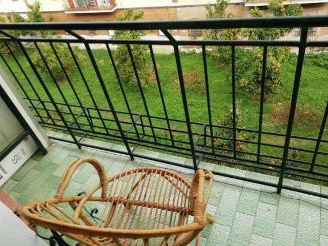 Piso opau en bami
