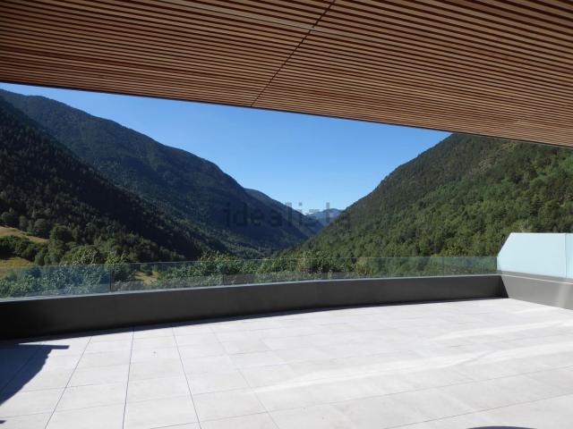 Piso, Ordino