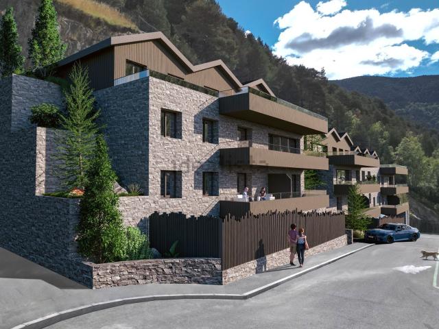 Piso, Ordino