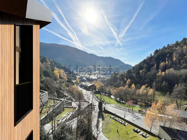 Piso, Ordino