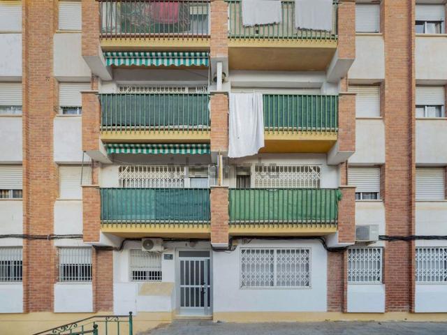 Piso, Orihuela