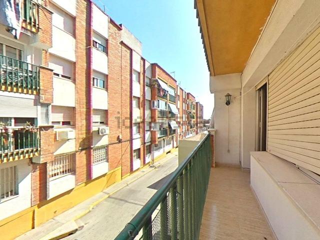 Piso, Orihuela