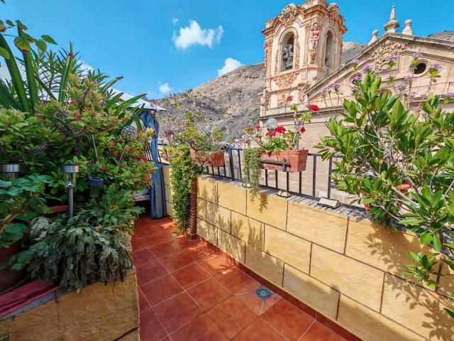 Piso, Orihuela