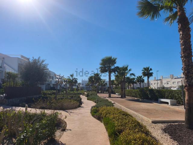 Piso, Orihuela