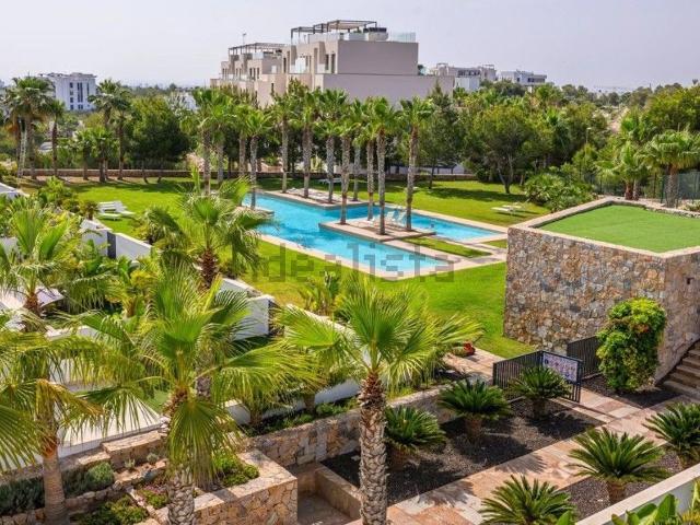 Piso, Orihuela