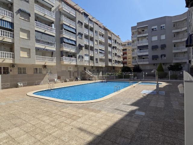Piso, Avenida Habaneras Curva de Palangre, Torrevieja