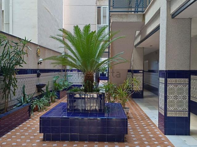 Piso, Avenida Habaneras Curva de Palangre, Torrevieja